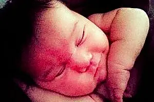 First name baby Saphira