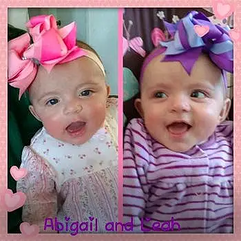 Abigail Anf Leah