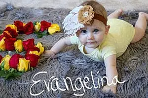 First name baby Evangelina