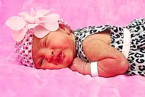 First name baby Noelani