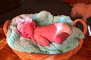 First name baby Aribella