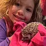 Hair, Nose, Hedgehog, Skin, Smile, Hand, Hairstyle, Erinaceidae, Domesticated Hedgehog, Eyes, Happy, Plant, Pink, Fawn, Headgear, Toddler, Snout, Child, Pattern, Person, Joy