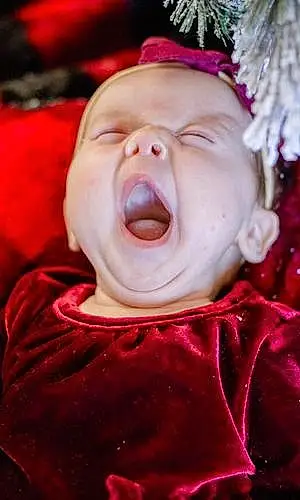 Yawn baby Magnolia