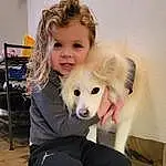 Dog, Smile, Dog breed, Carnivore, Chair, Companion dog, Fawn, Spitz, German Spitz, Dog Supply, Fun, Happy, Furry friends, Canidae, Child, Polka Dot, Sitting, Non-sporting Group, Person