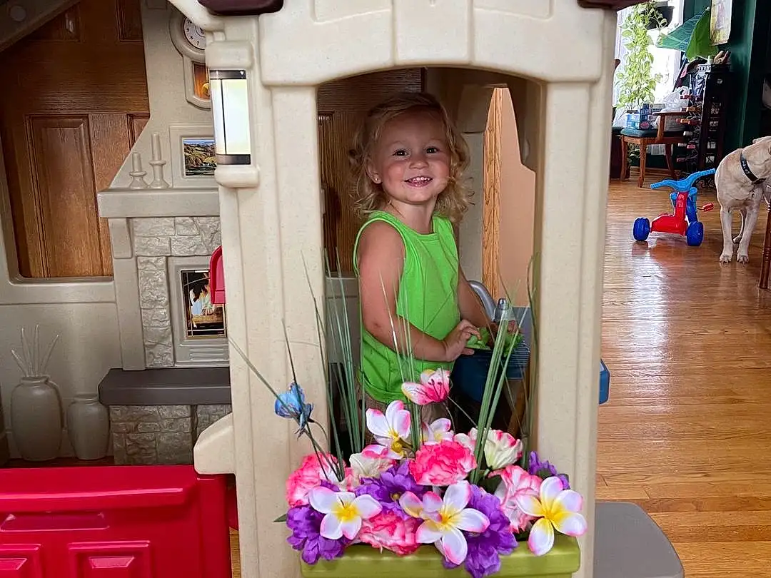 Flower, Purple, Toy, Plant, Pink, Wood, Smile, House, Cabinetry, Beauty, Room, Hardwood, Building, Magenta, Machine, Toddler, Child, Person, Joy, Headwear
