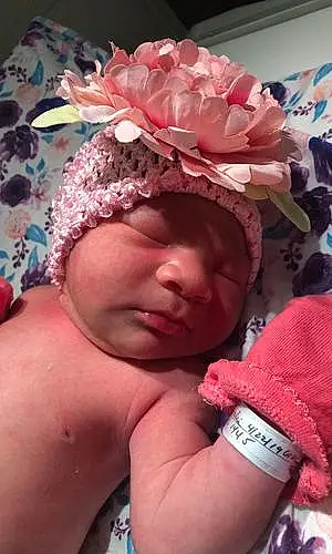 First name baby Leilah