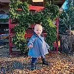 People In Nature, Plant, Wood, Tree, Grass, Leisure, Toddler, Baby & Toddler Clothing, Tints And Shades, Baby, Electric Blue, Deciduous, Fun, Child, Garden, Sitting, City, Cobblestone, Play, Person