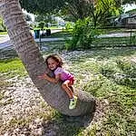 Plant, Smile, Botany, Tree, People In Nature, Leaf, Grass, Arecales, Trunk, Woody Plant, Wood, Leisure, Groundcover, Landscape, Palm Tree, Fun, Lawn, Toddler, Garden, Person, Joy