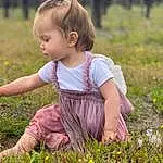 Plant, People In Nature, Baby & Toddler Clothing, Flower, Happy, Sunlight, Grass, Toddler, Groundcover, Baby, Grassland, Meadow, Prairie, Child, Tree, Pattern, Field, Sitting, Agriculture, Person