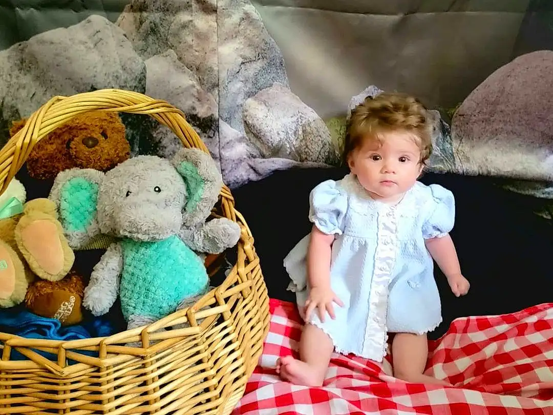Photograph, White, Toy, Green, Blue, Textile, Baby & Toddler Clothing, Basket, Comfort, Fawn, People, Storage Basket, Picnic Basket, Child, Stuffed Toy, Baby, Wool, Pattern, Event, Person