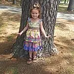 Tree, Dress, Child, Grass, Leaf, Woody Plant, Trunk, Botany, Toddler, Summer, Fun, Plant, Adaptation, Smile, Branch, Pattern, Vacation, Fawn, Waist, Person, Joy