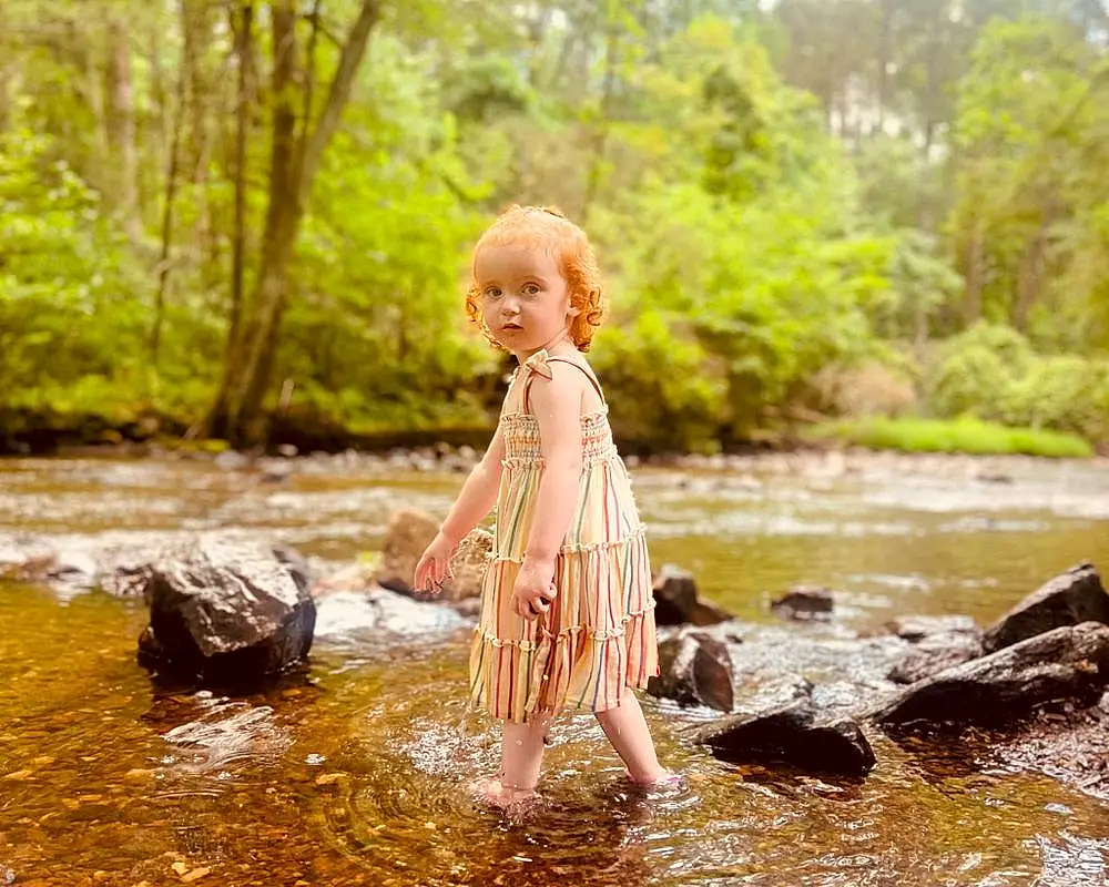 Water, Plant, People In Nature, Dress, Tree, Natural Landscape, Wood, Happy, Sunlight, Watercourse, Fawn, Bank, Landscape, Grass, Leisure, Forest, Fun, Toddler, Recreation, Child, Person