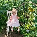 Plant, Flower, People In Nature, Leaf, Dress, Botany, Flowerpot, Happy, Baby & Toddler Clothing, Grass, Terrestrial Plant, Toddler, Houseplant, Fun, Chair, Leisure, Lawn, Shrub, Flowering Plant