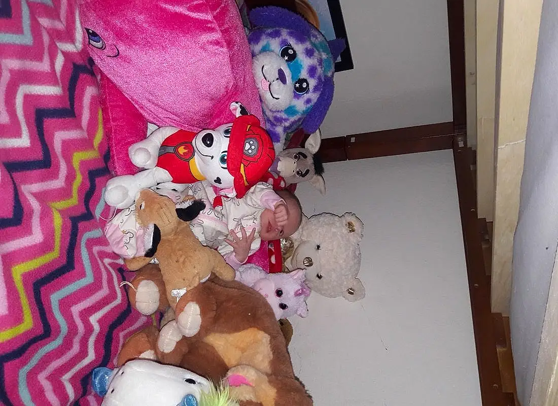 Stuffed Toy, Plush, Toy, Teddy Bear, Textile, Room, Fawn, Person