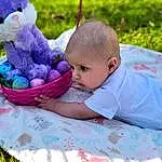 People In Nature, Blue, Leaf, Happy, Grass, Baby, Baby & Toddler Clothing, Toddler, Leisure, Child, Plant, Summer, Fun, Basket, Recreation, Beauty, Picnic, Natural Foods, Baby Products, Person