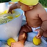 Yellow, Baby Bathing, Toy, Meyer Lemon, Toddler, Water, Leisure, Fun, Child, Recreation, Bath Toy, Sweet Lemon, Baby Playing With Toys, Chest, Baby, Bathing, Baby Products, Citrus, Thigh