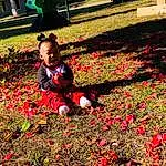 Flower, Plant, Photograph, People In Nature, Green, Petal, Botany, Red, Grass, Happy, Toddler, Groundcover, Flowering Plant, Annual Plant, Shrub, Garden, Rose Family, Carmine, Spring, Deciduous, Person