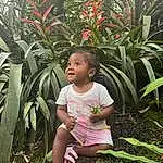 Plant, Green, Leaf, Nature, Botany, Terrestrial Plant, Grass, Vegetation, Flower, Leisure, Arecales, Woody Plant, Baby & Toddler Clothing, Morning, Adaptation, Toddler, Summer, Houseplant, Tree, Tints And Shades, Person