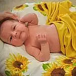 Comfort, Textile, Yellow, Baby, Happy, Baby & Toddler Clothing, Toddler, Baby Sleeping, Linens, Bedtime, Baby Products, Grass, Bedding, Room, Child, Sleep, Nap, Petal, Sweetness, Pattern, Person