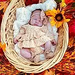 Leaf, People In Nature, Textile, Baby, Baby & Toddler Clothing, Happy, Basket, Toddler, Comfort, Grass, Child, Baby Sleeping, Linens, Peach, Plant, Baby Products, Fashion Accessory, Portrait Photography, Pattern, Wood, Person