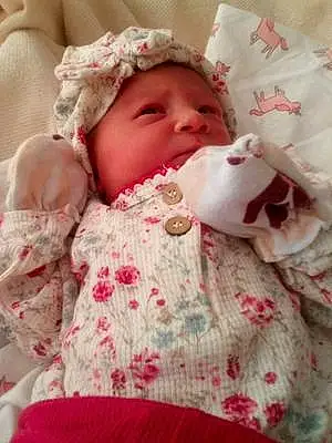 First name baby Evalynn