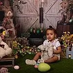 Photograph, Plant, Toy, Green, Fun, Leisure, Happy, Grass, Tree, Event, Child, Stuffed Toy, Sitting, Room, Teddy Bear, Picture Frame, Flower Arranging, Person