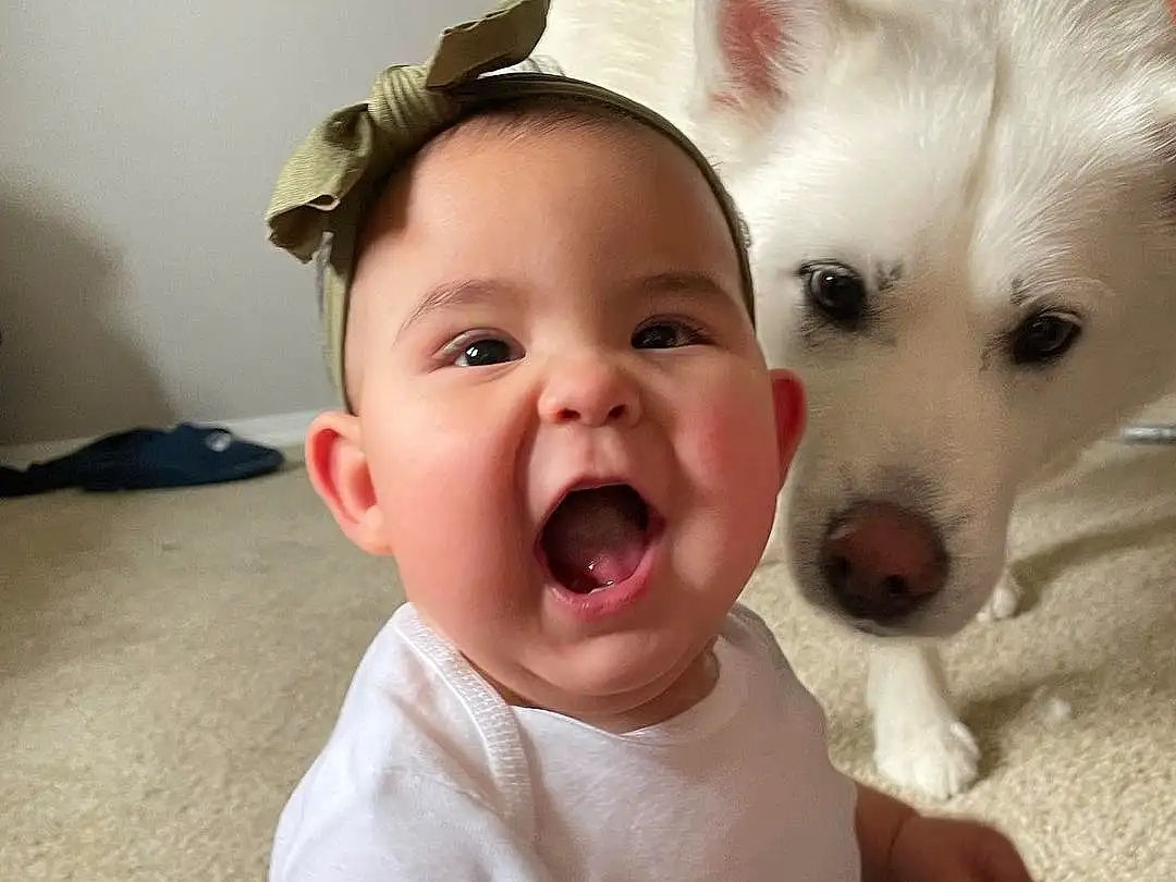 Nose, Skin, Head, Dog, Eyes, Eyebrow, Mouth, White, Carnivore, Jaw, Sleeve, Happy, Gesture, Iris, Smile, Dog breed, Fawn, Companion dog, Baby & Toddler Clothing, Spitz, Person