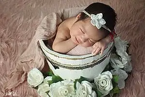 First name baby Alejandra