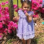 Flower, Plant, People In Nature, Botany, Dress, Happy, Pink, Grass, Petal, Baby & Toddler Clothing, Toddler, Magenta, Day Dress, Waist, Shrub, Child, Flowering Plant, Annual Plant, Sandal, Pattern, Person