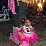 Purple, Pink, Fun, Toddler, Happy, Magenta, Leisure, Recreation, Child, Event, Entertainment, Companion dog, Tradition, Costume, Furry friends, Holiday, Sitting, Toy, Public Event, Party, Person, Under Exposed