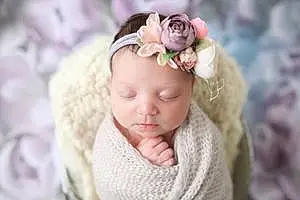First name baby Anastasia