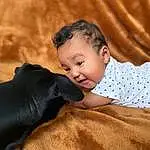 Skin, Head, Comfort, Neck, Flash Photography, Dog breed, Working Animal, Happy, Baby & Toddler Clothing, Toddler, Snout, Fun, Tree, Companion dog, Baby, Grass, Child, Sitting, Landscape, Person