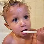 Nose, Hair, Cheek, Skin, Lip, Eyes, Eyelash, Mouth, Ear, Baby Bathing, Jaw, Neck, Fluid, Water, Bathroom, Brush, Iris, Tooth Brushing, Bathing, Tooth, Person