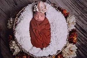First name baby Alejandra