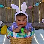 Head, Happy, Baby & Toddler Clothing, Picnic Basket, Sharing, Toddler, Baby, Basket, Fun, Child, Event, Holiday, Storage Basket, Leisure, Wicker, Baby Products, Play, Sitting, People In Nature, Easter Bunny, Person