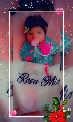 First name baby Rosa