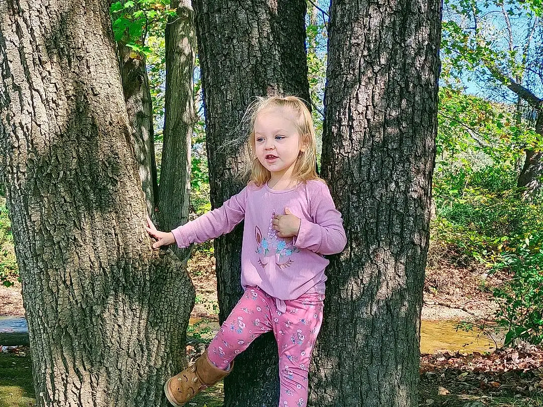 Plant, Eyes, People In Nature, Tree, Human Body, Wood, Natural Landscape, Trunk, Gesture, Happy, Grass, Terrestrial Plant, Deciduous, Fun, Tints And Shades, Forest, Grove, Toddler, Woodland, Person