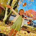 Smile, Plant, People In Nature, Leaf, Botany, Tree, Branch, Orange, Happy, Deciduous, Woody Plant, Leisure, Grass, Toddler, Fun, Child, Recreation, Spring, Autumn, Baby, Person, Joy