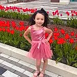 Clothing, Face, Hair, Plant, Flower, Botany, Waist, Happy, Dress, Pink, Day Dress, Petal, Red, Thigh, Summer, Baby & Toddler Clothing, Grass, Beauty, Leisure, Toddler, Person, Joy