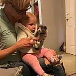 Joint, Skin, Comfort, Fawn, Door, Companion dog, Toy, Thigh, Baby, Lap, Stuffed Toy, Human Leg, Sitting, Boot, Room, Sandal, Toddler, Furry friends, Knee, Person
