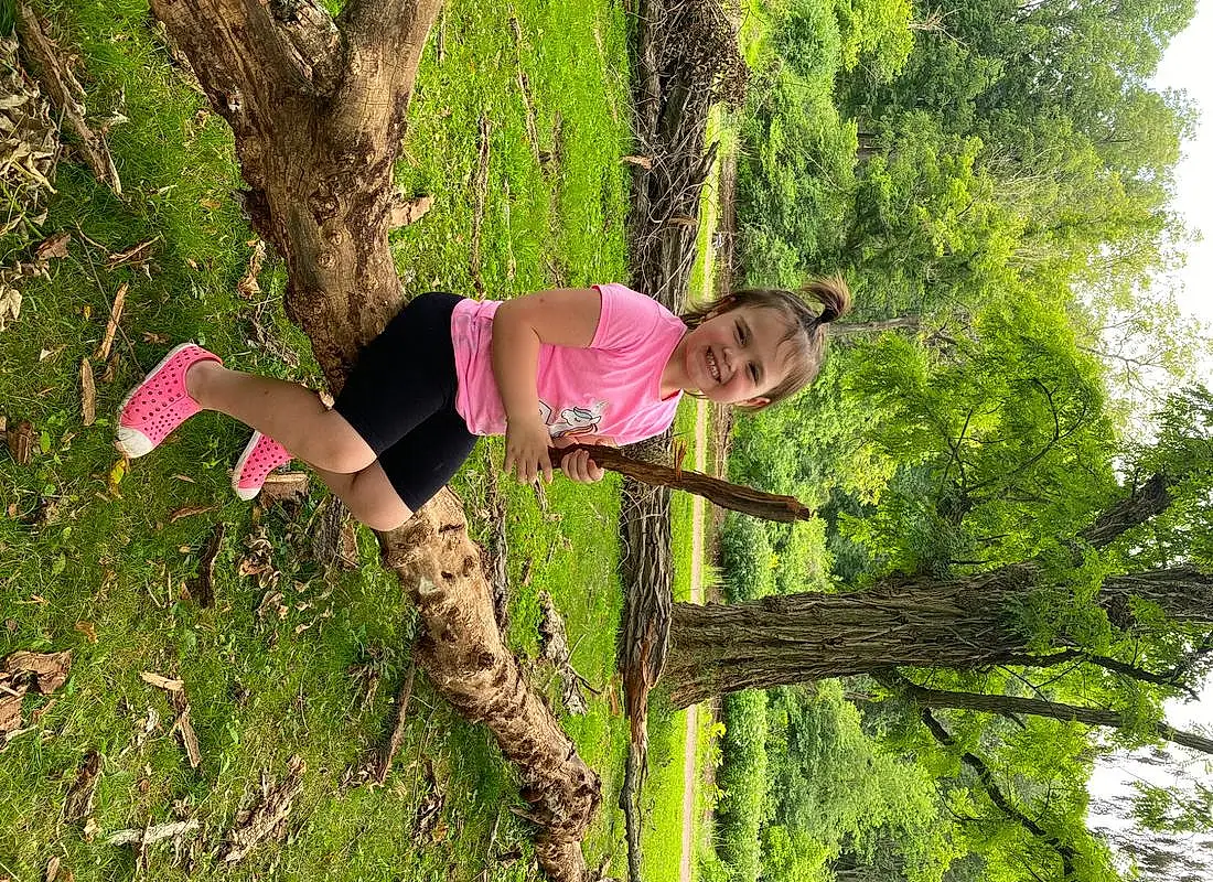 Plant, Leg, People In Nature, Tree, Shorts, Branch, Wood, Happy, Thigh, Grass, Leisure, Knee, Forest, Trunk, Recreation, Fun, Landscape, Balance, T-shirt, Natural Landscape, Person, Joy