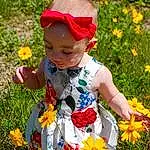 Flower, Plant, People In Nature, Leaf, Botany, Nature, Yellow, Orange, Petal, Happy, Grass, Baby & Toddler Clothing, Sunglasses, Goggles, Summer, Toddler, Meadow, Groundcover, Child, Annual Plant, Person