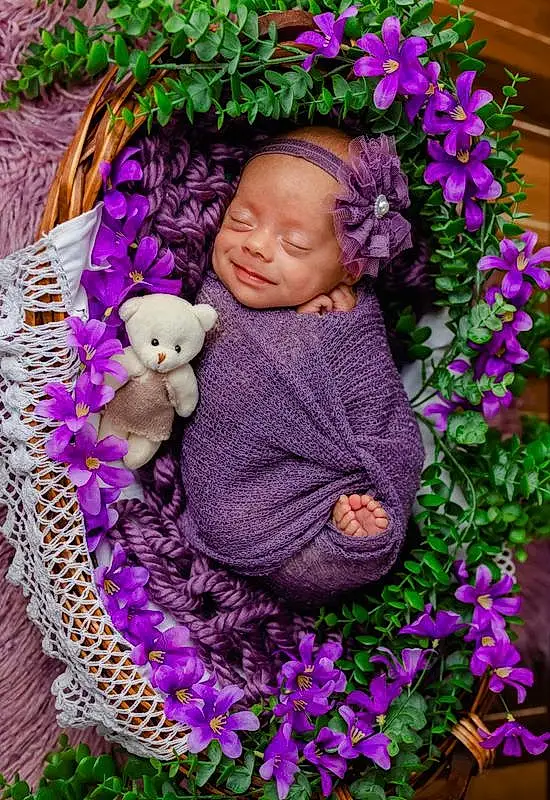 Flower, Plant, Purple, Green, People In Nature, Botany, Textile, Petal, Grass, Violet, Pink, Happy, Magenta, Baby, Baby & Toddler Clothing, Groundcover, Toy, Doll, Toddler, Flower Arranging, Person