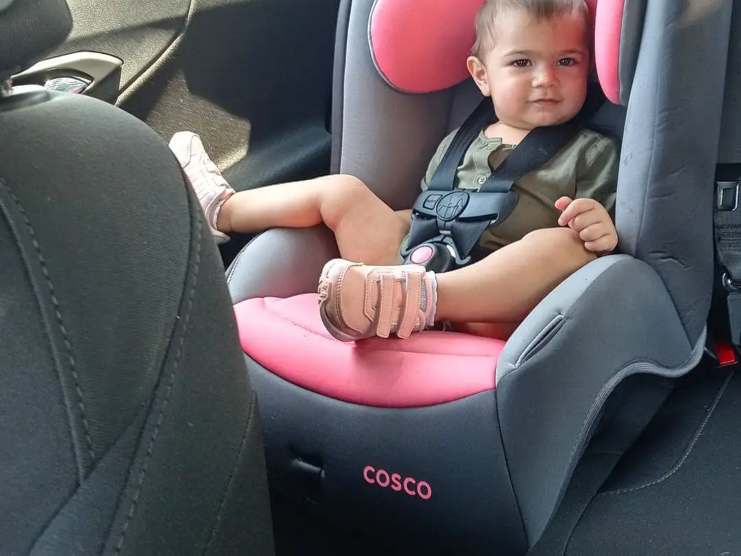 Car, White, Vehicle, Vroom Vroom, Seat Belt, Steering Part, Automotive Design, Car Seat Cover, Head Restraint, Mode Of Transport, Plant, Vehicle Door, Window, Steering Wheel, Automotive Exterior, Personal Luxury Car, Car Seat, Toddler, Comfort, Auto Part, Person