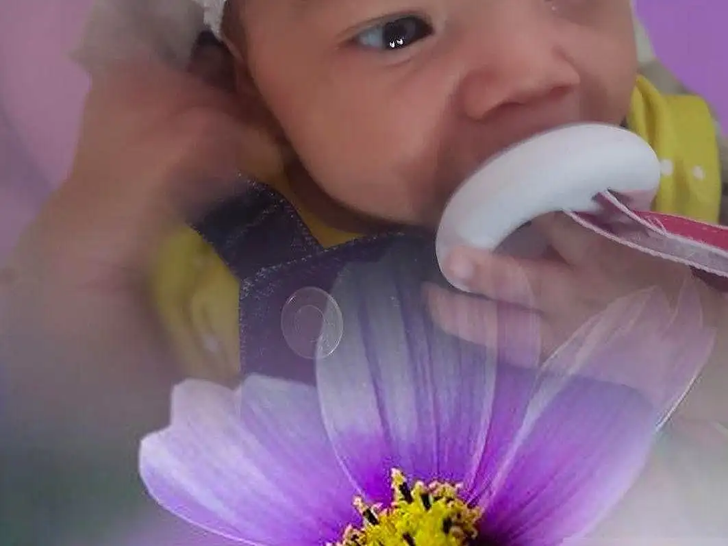Face, Skin, Photograph, Flower, Plant, White, Purple, People In Nature, Happy, Petal, Cap, Iris, Baby & Toddler Clothing, Yellow, Pink, Flash Photography, Toddler, Headband, Baby, Beauty