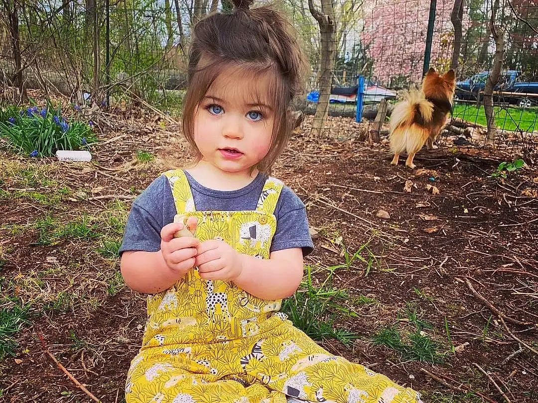Plant, Dress, Nature, People In Nature, Baby & Toddler Clothing, Sleeve, Yellow, Grass, Tree, Happy, Toddler, Adaptation, Child, Baby, Pattern, Day Dress, Soil, Sitting, Grassland, Person