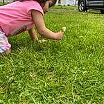 Plant, Botany, Green, People In Nature, Grass, Hat, Car, Groundcover, Shorts, Shrub, Fun, T-shirt, Lawn, Leisure, Tree, Toddler, Garden, Grassland, Automotive Exterior, Person
