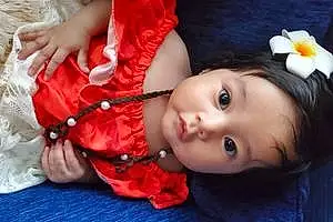 First name baby Araceli