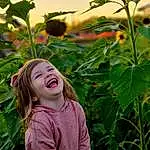 Flower, Plant, Smile, Green, People In Nature, Light, Leaf, Nature, Botany, Happy, Vegetation, Sunlight, Grass, Petal, Summer, Fun, Toddler, Flowering Plant, Sky, Field, Person, Joy