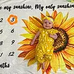 Leaf, Plant, Flower, Happy, Petal, Font, Angel, Greeting Card, Mythical Creature, Supernatural Creature, Pattern, Fictional Character, Illustration, Paper Product, Wing, Flowering Plant, Linens, Toddler, Sunflower, Insect, Person, Joy, Headwear